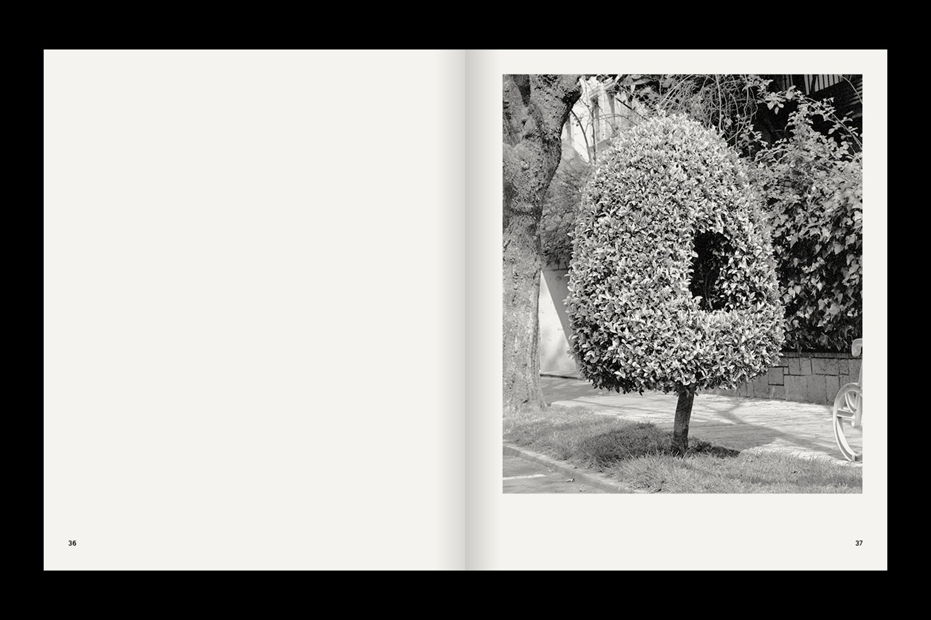 A photo of A Guide on Gardening