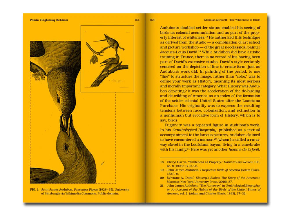 With a Bird, A Reader on Avian Kinship - Another Corner