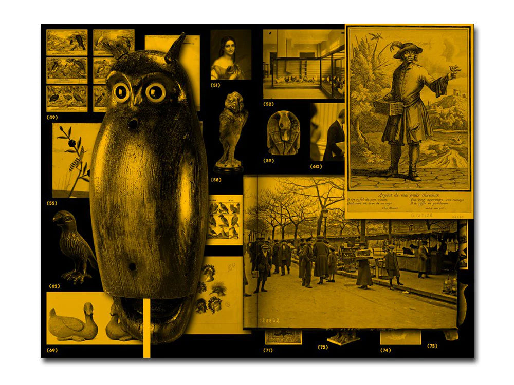 With a Bird, A Reader on Avian Kinship - Another Corner